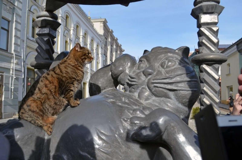 Create meme: kazan cat, kazan monument cat in kazan, victor the cat in kazan