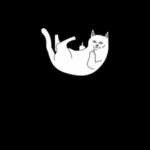 Создать мем: кот с факом рисунок, кошка показывает фак, ripndip