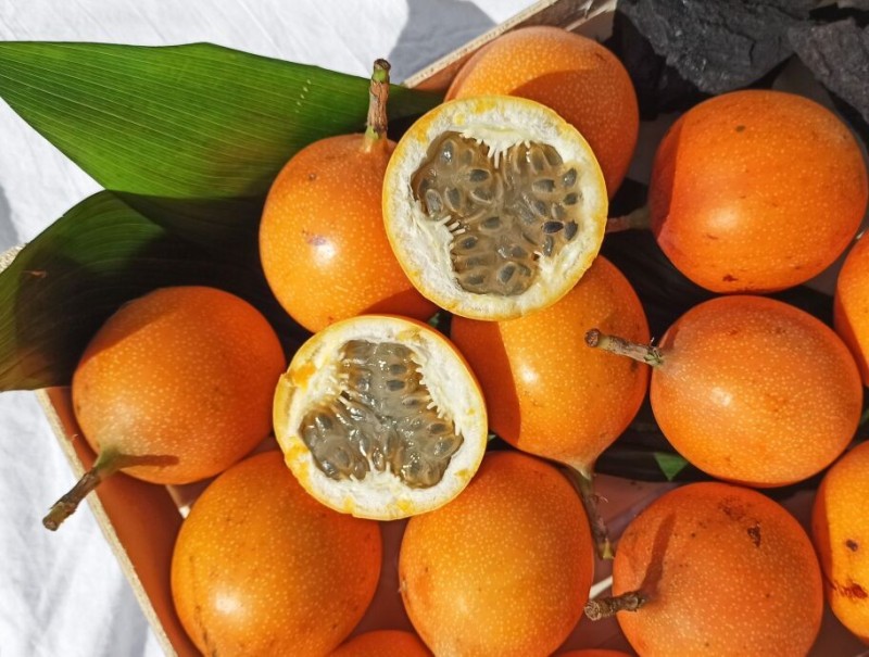 Create meme: passion fruit granadilla, exotic granadilla fruit, granadilla the granadilla fruit