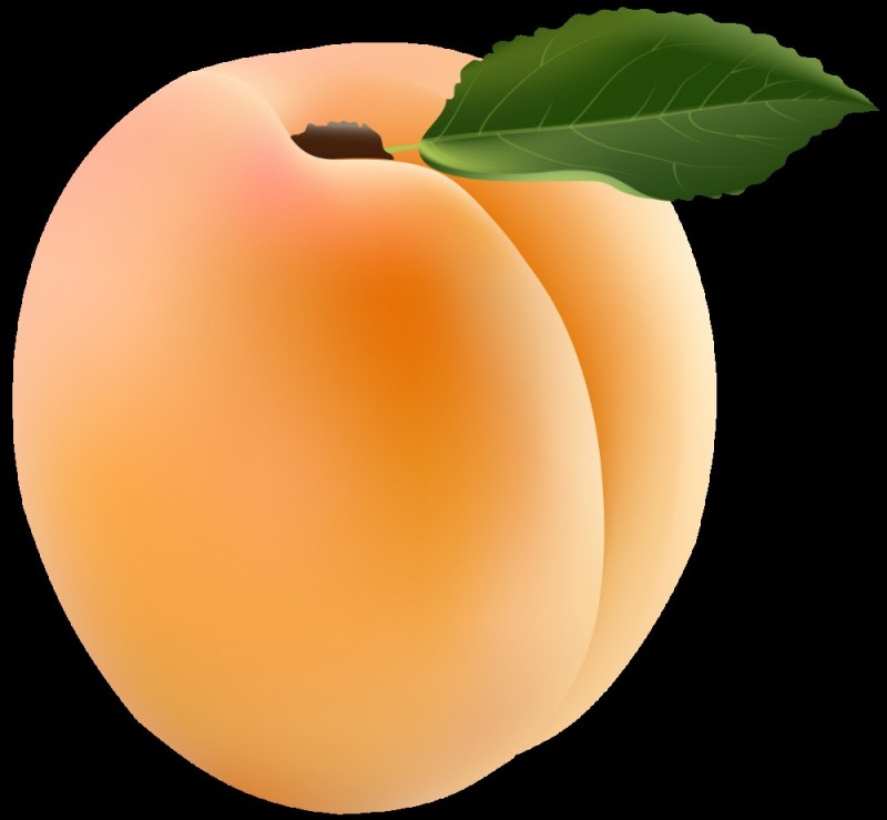 Create meme: nectarine peach, apricot — apricot, apricot peach