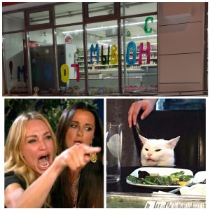 Create meme: meme woman yelling at the cat, the meme with the cat and the girls