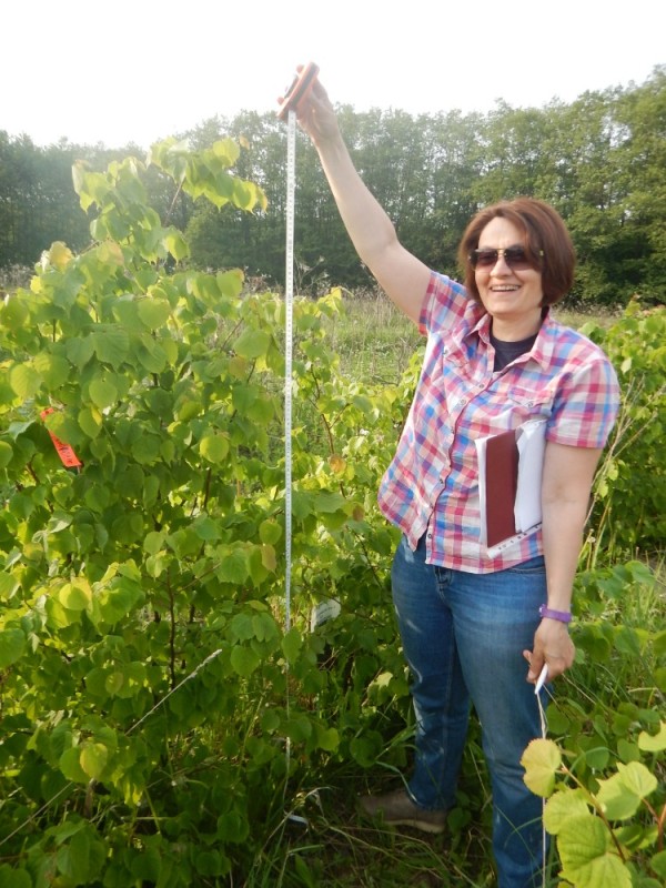 Create meme: grapes, girl , top dressing of grapes