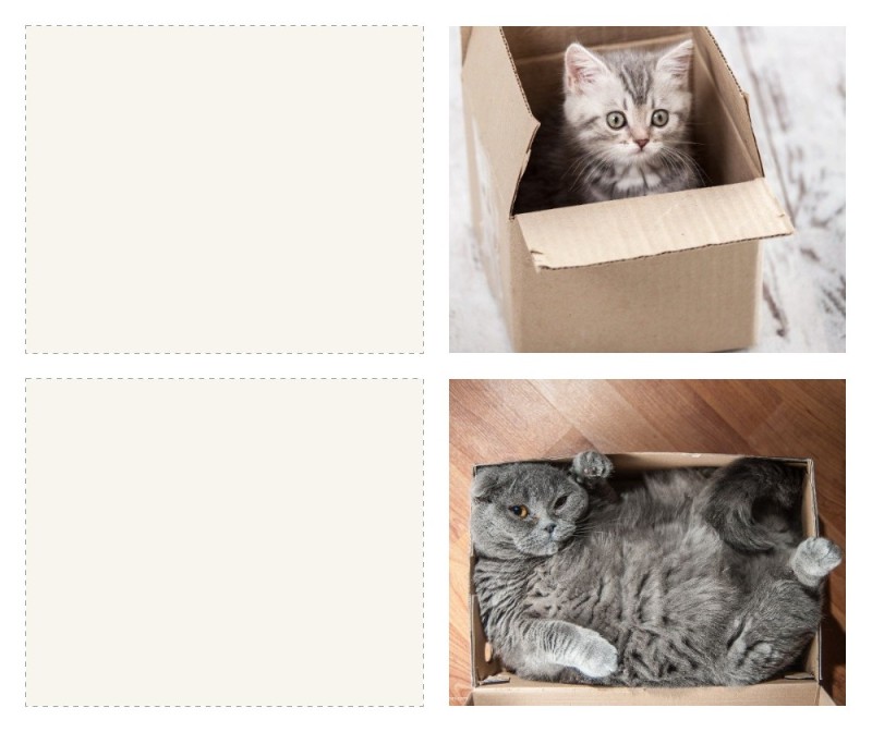 Create meme: Scottish fold cat grey, a cat in a box, cat in a cardboard box