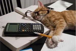 Create meme: on the day of the accountant, cat accountant