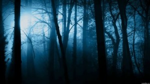 Создать мем: густой темный лес, ночной лес, фон леса для фотошопа темный