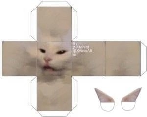 Create meme: a cat made of paper, The cat from the meme is white, a square cat made of paper