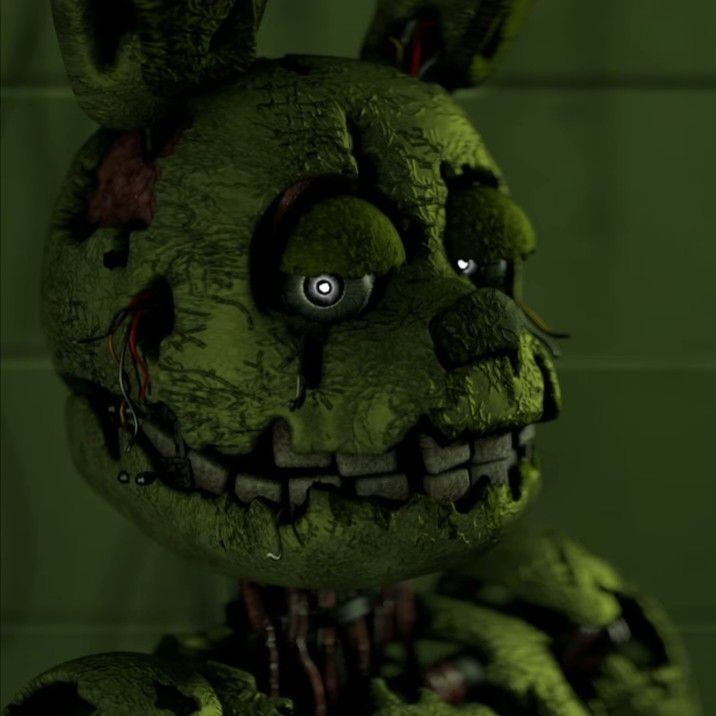 Create meme: springtrap fnaf 3, fnaf 3 springtrap, spring ladder