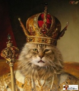 Create meme: Cat with crown