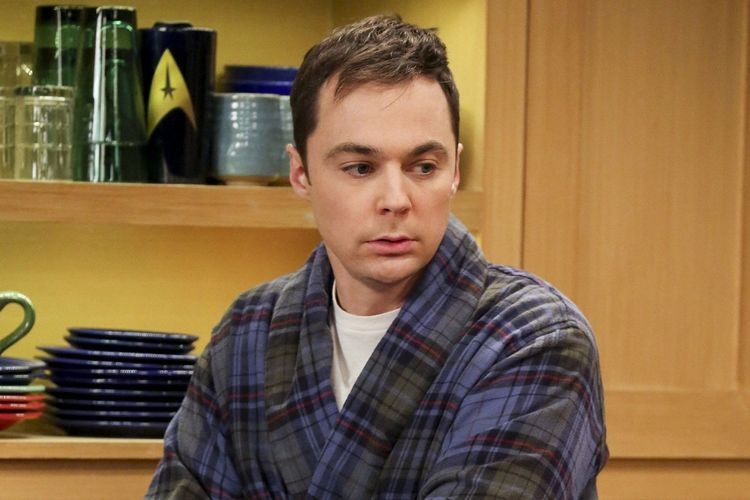 Create meme: sheldon the big bang theory, Sheldon Cooper the big Bang theory, Sheldon Cooper 