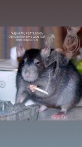 Создать мем: крыса мем, да я крыса, мышь с сигаретой