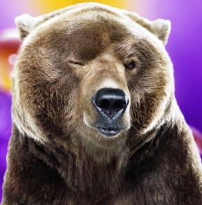Создать мем: медведь, медведь гризли, веселый медведь