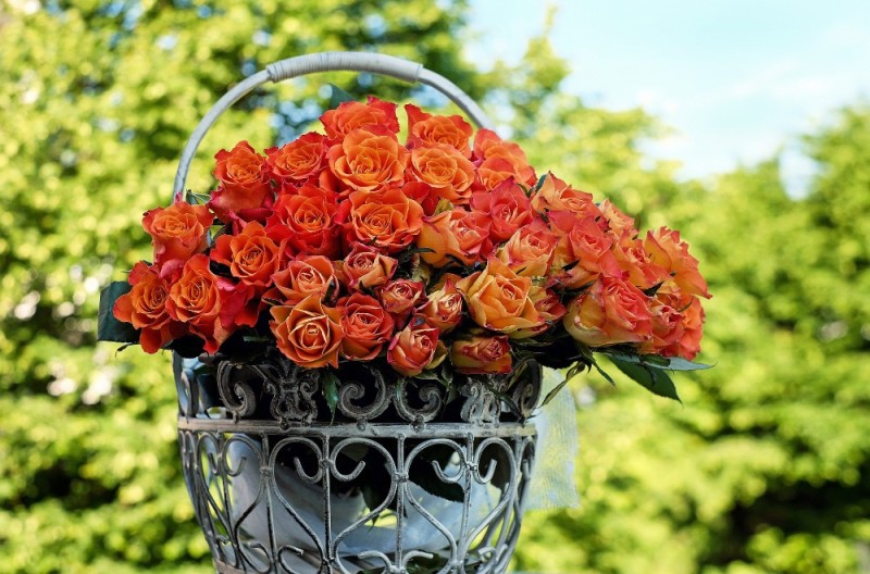 Create meme: roses bouquet , rose orange, beautiful flowers 