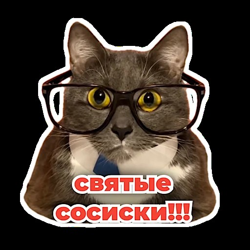 Create meme: stickers telegram, stickers for whatsapp, cat 