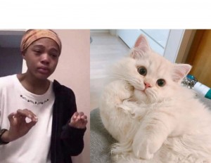 Create meme: tut the cat, a black man, cats