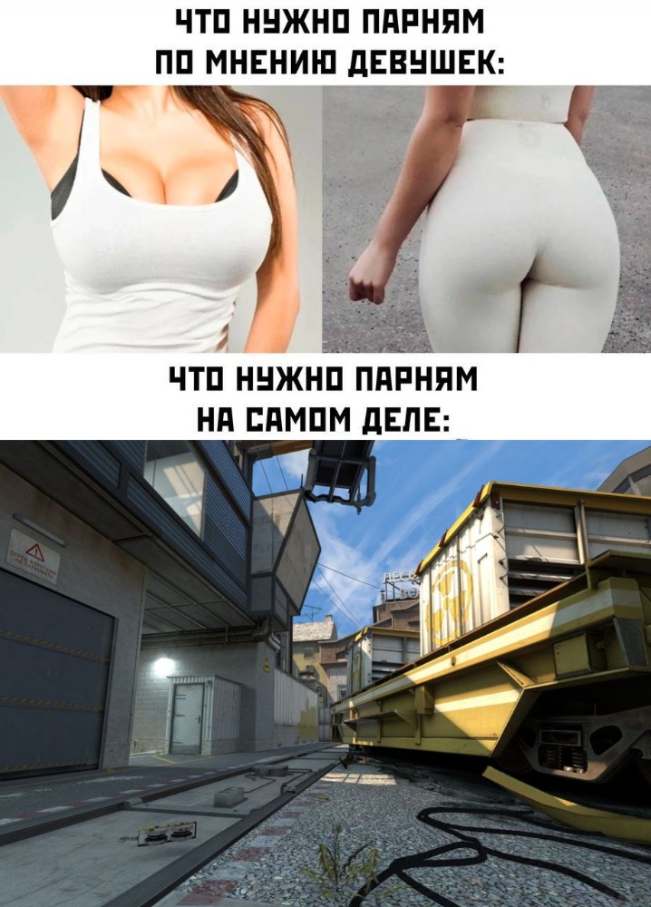 Создать мем: train cs go, девушка кс го, мем чего хотят парни по мнению девушек