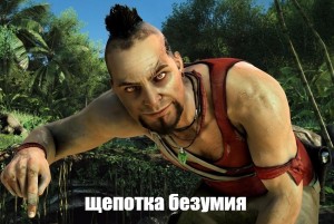 Создать мем: far cry 3 vaas, безумие, farcry