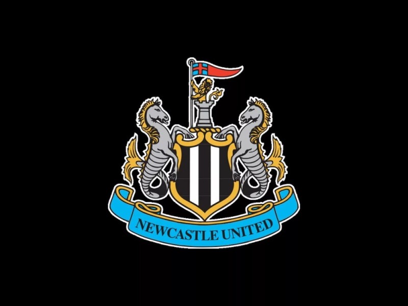 Create meme: newcastle upon tyne, Newcastle United, Newcastle 