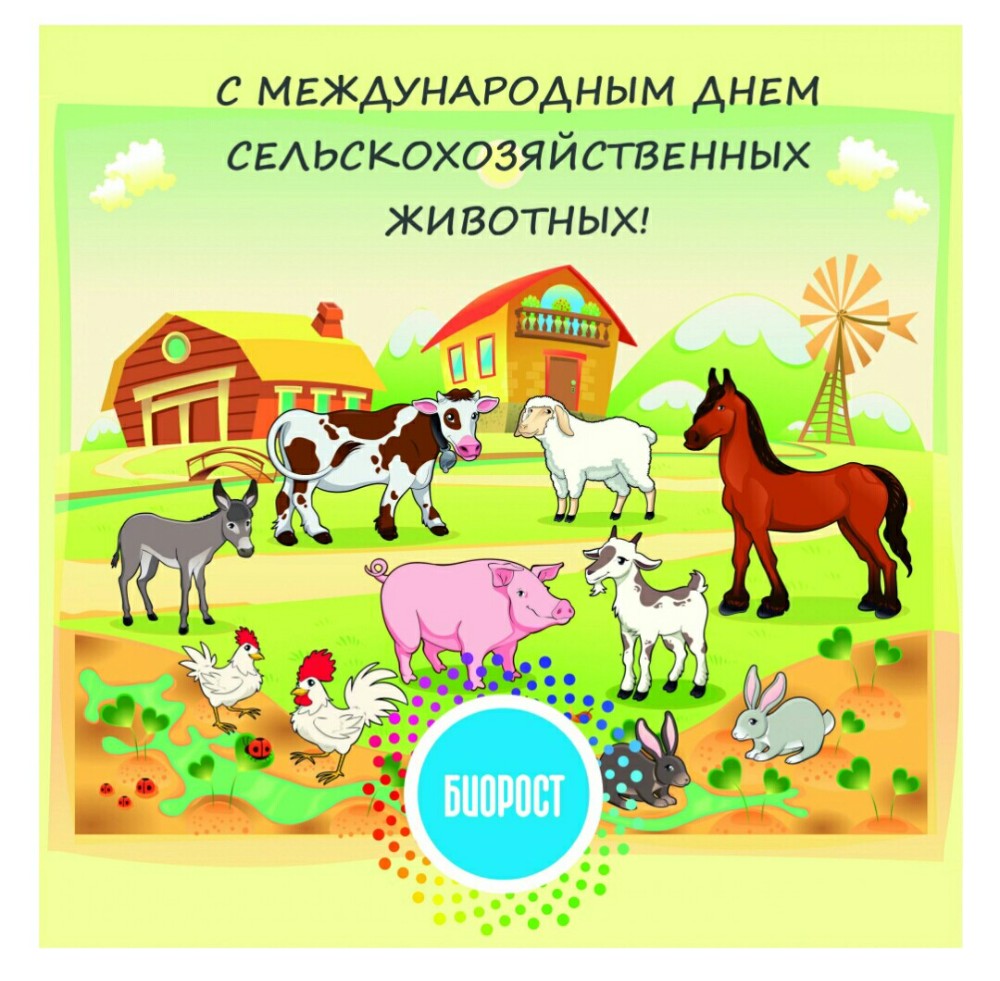 Ферма домашних животных для детей