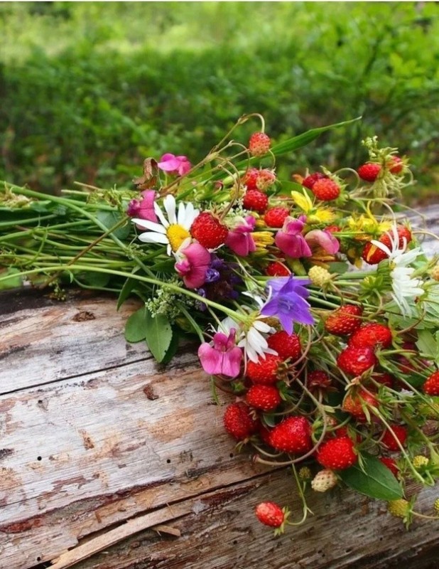 Create meme: a bouquet of wild strawberries, wild flowers , summer bouquet