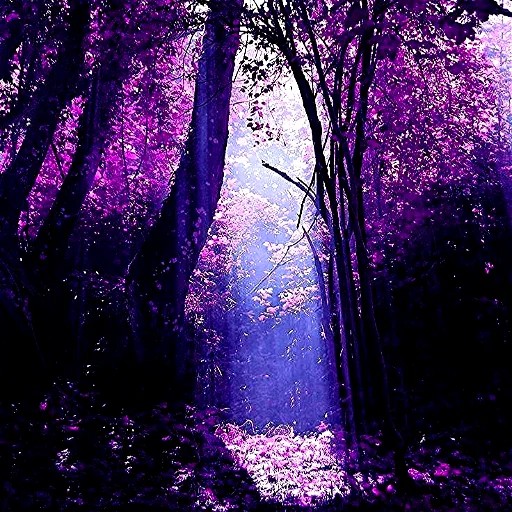 Create meme: purple forest, lilac forest, The magical forest in purple