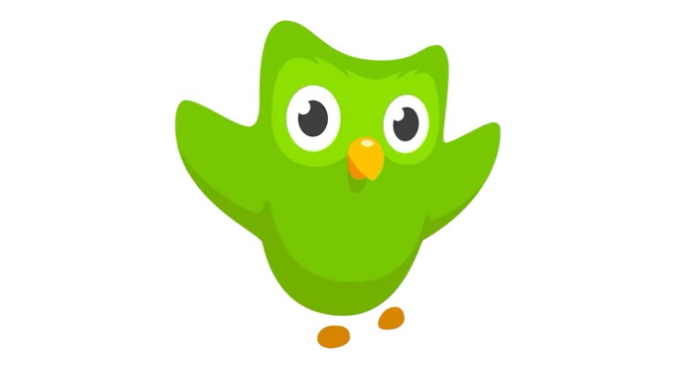 Создать мем: сова duolingo, duolingo лого, дуолингво