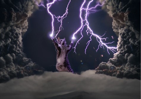 Create meme: cat with lightning bolts, Thundercat, cat with lightning bolts from paws