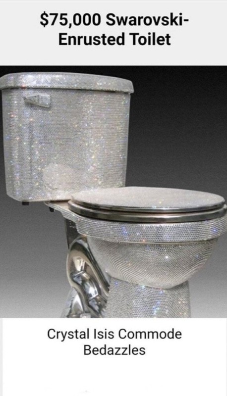 Create meme: diamond toilet bowl for $5,000,000, the old toilet , unusual toilet bowls