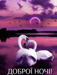Create meme: Swan, Swan, swans love