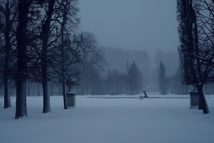 Create meme: winter, photos of winter, darkness