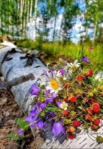 Create meme: forest flowers, wildflowers , modest wildflowers