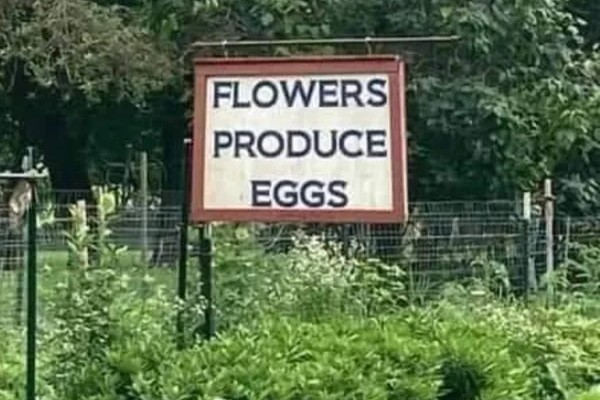 Создать мем: picking flowers, street sign, шутк