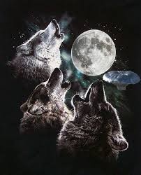 Создать мем: три волка и луна, луна волк, два волка воют на луну