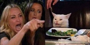 Создать мем: кот и женщины мем, популярные мемы, котики мемы
