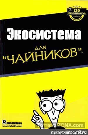 Управление проектами для чайников книга