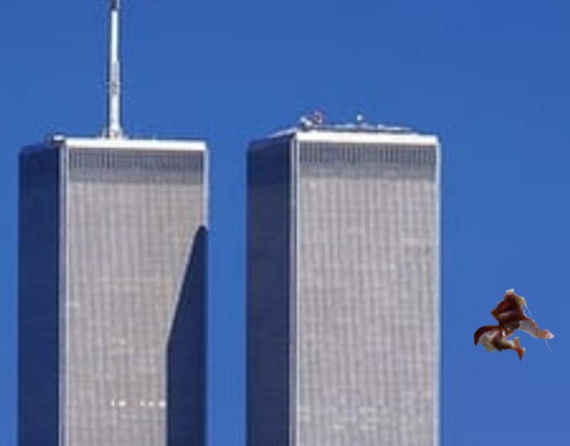 Create meme: September 11 twin towers, twin towers plane, twin towers in new york