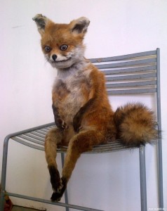 Create meme: a stuffed Fox, Fox stuffed animal, stoned Fox