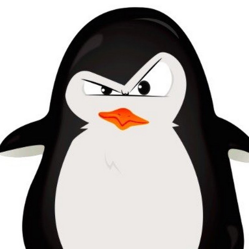 Create meme: angry penguin, a disgruntled penguin, evil penguin 