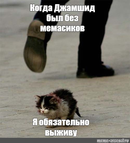 Я выживу с помощью