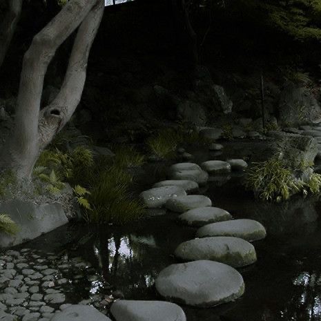 Create meme: Ryoanji Stone Garden in Kyoto, japanese pond, a pond in the Chinese garden