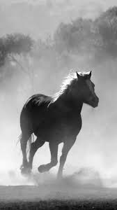 Create meme: Horses in the fog, a black and white horse, a running horse