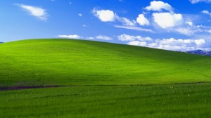 Create meme: windows xp