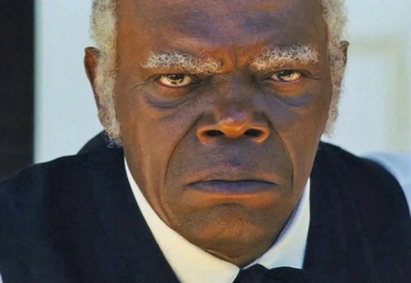 Create meme: Samuel Jackson Django, Django unchained Samuel Jackson, Samuel Jackson Django