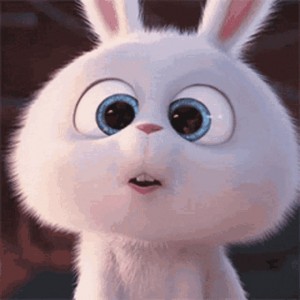 Создать мем: кролик из мультика тайная жизнь домашних животных, кролик мультик, кролик снежок