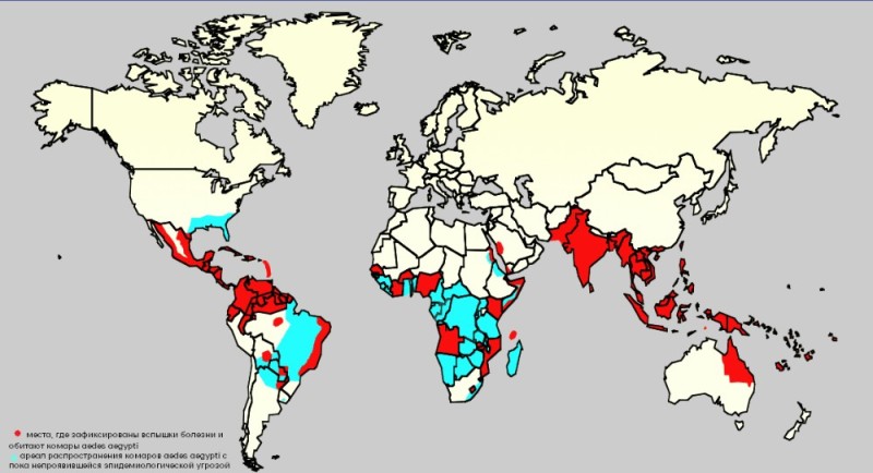 Create meme: map , dengue fever, global map