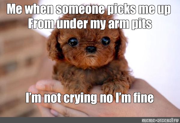 meme-me-when-someone-picks-me-up-from-under-my-arm-pits-i-m-not