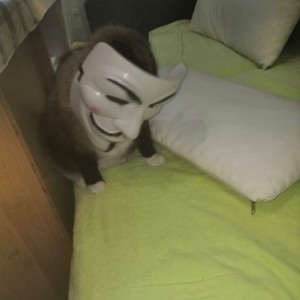 Создать мем: маска, анонимус, человек