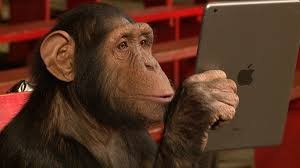 Create meme: screen, monkey, chimpanzees