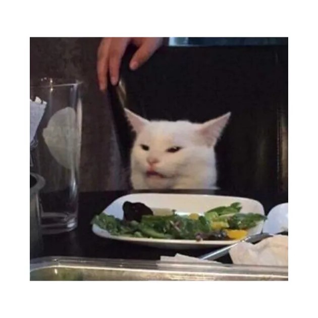 Создать мем: мемы с котом за столом, коты за столом, кот за столом