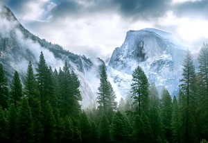 Create meme: mountains nature, mountains trees, forest mountains