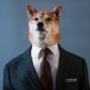 Создать мем: shibe, собака, doge